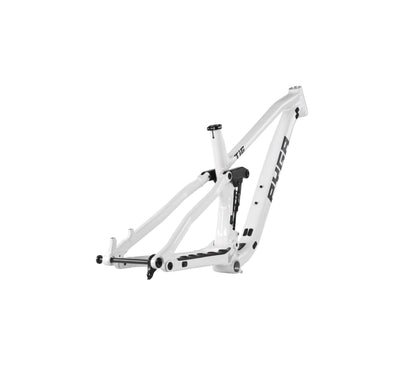 Pyga Tig XC Frame