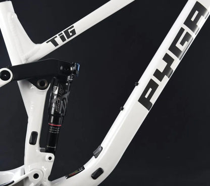 Pyga Tig XC Frame